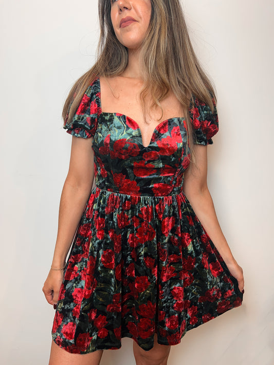 Winter Wishes Floral Velvet Dress